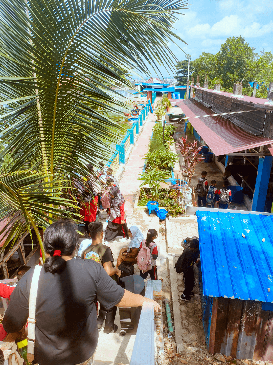 Event & Aktivitas Seru di Mini Zoo Kami